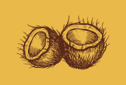 coconut